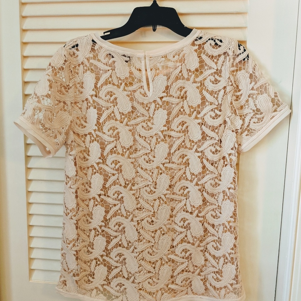 Lace top - Picture 3 of 3